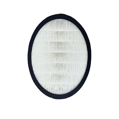 Eltávolíthatja a H13 Hepa szűrő a vírusokat?